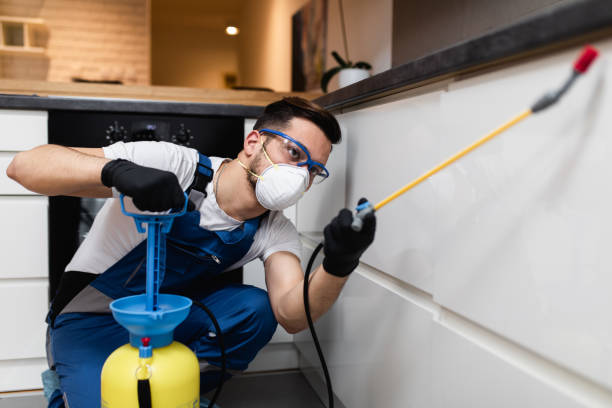 Best Flea Control Services  in North Great River, NY