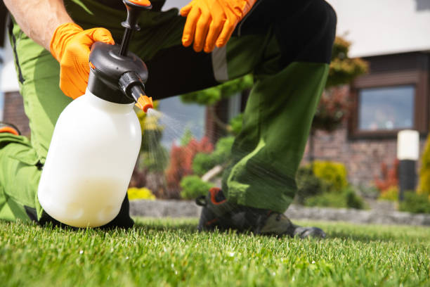 Wasp Removal Services in North Great River, NY