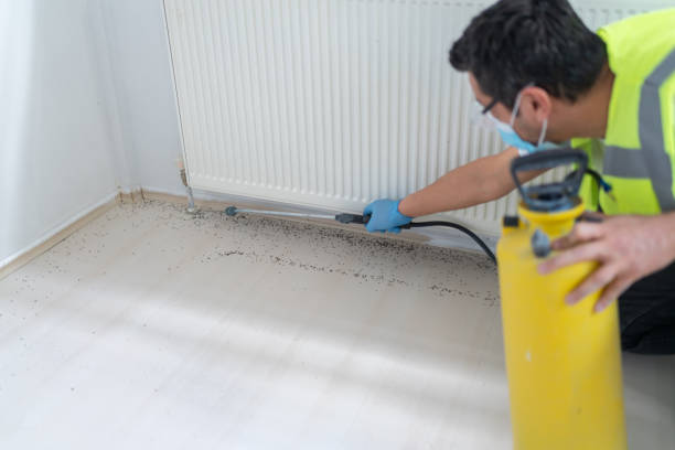 Best Pest Inspection Near Me  in North Great River, NY