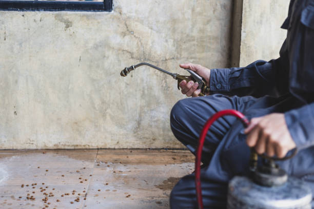 Best Best Pest Control Companies  in North Great River, NY